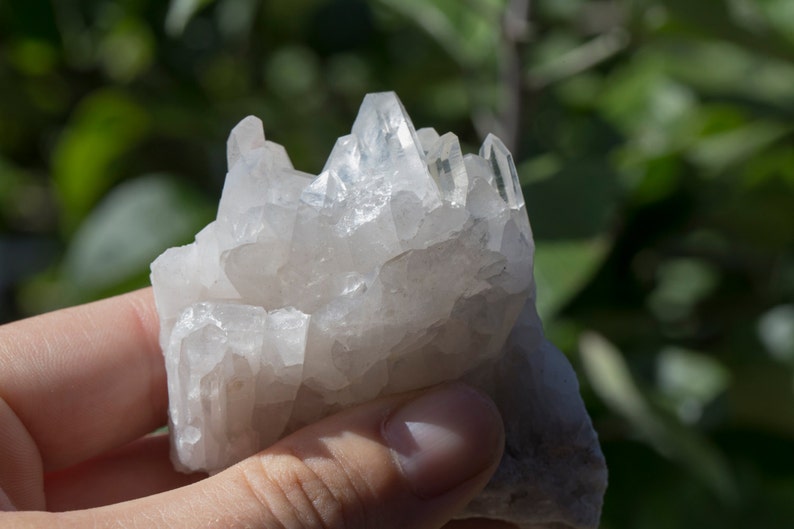 A clear quartz crystal cluster held in the cutter's fingers — terminated points, sunlight catching the natural facets, green foliage behind.