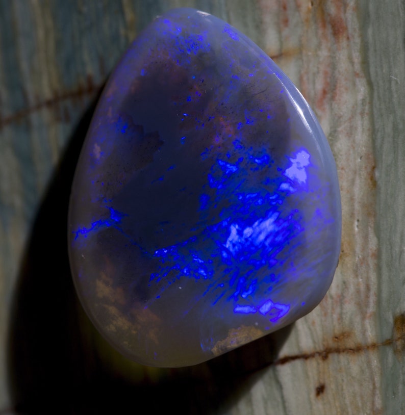 Polished freeform-shape opal cabochon on weathered wood — pale crystal body with electric blue play-of-color sweeping across the face.